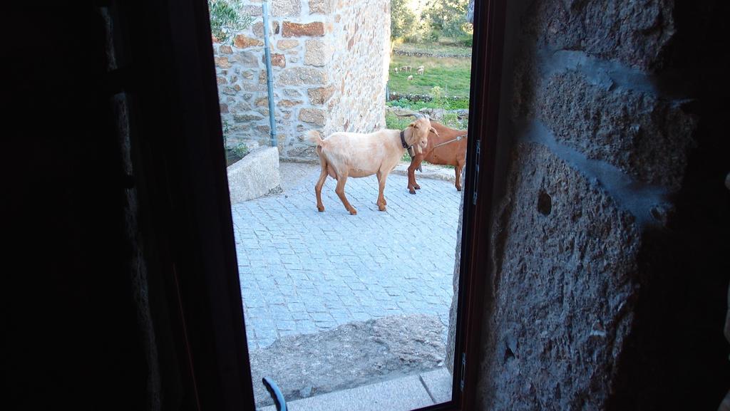 Penzion Aldeia Do Codecal Codecal  Pokoj fotografie